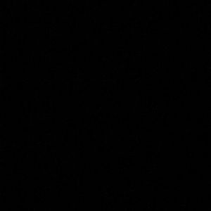 Meet your Posher, Biz